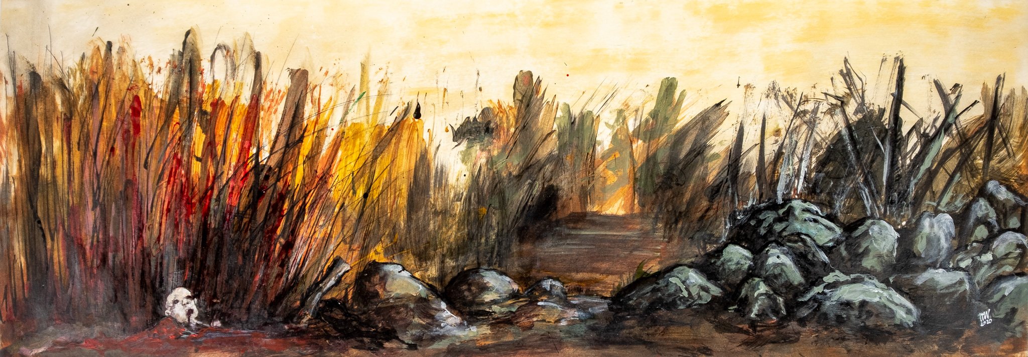 Morne Venter - This place deems your body no more important than rocks, pebbles and sticks